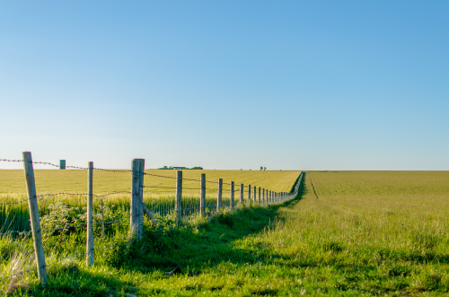 Partition in Kind in California - Talkov Law Partition Attorneys