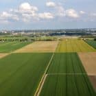 Are There Any Specific Rules for Partitioning Agricultural Land