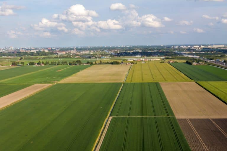 Are There Any Specific Rules for Partitioning Agricultural Land