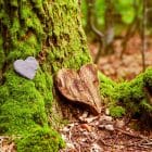 Funeral,Heart,Sympathy.,Funeral,Heart,Near,A,Tree.,Natural,Burial